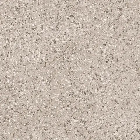 POLY CORAL view 2